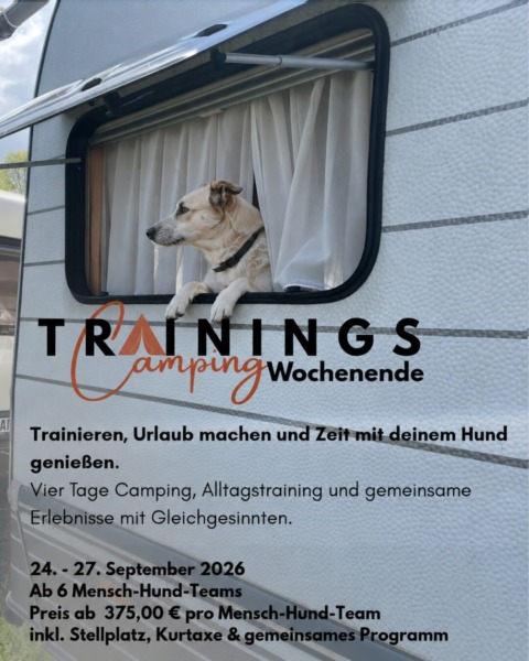 Design ohne Titel
